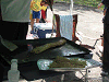 camp23 (173)_samu.gif